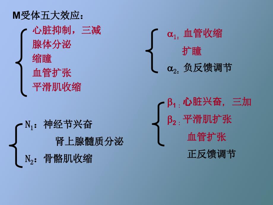 肾上腺素受体激动药_第4页