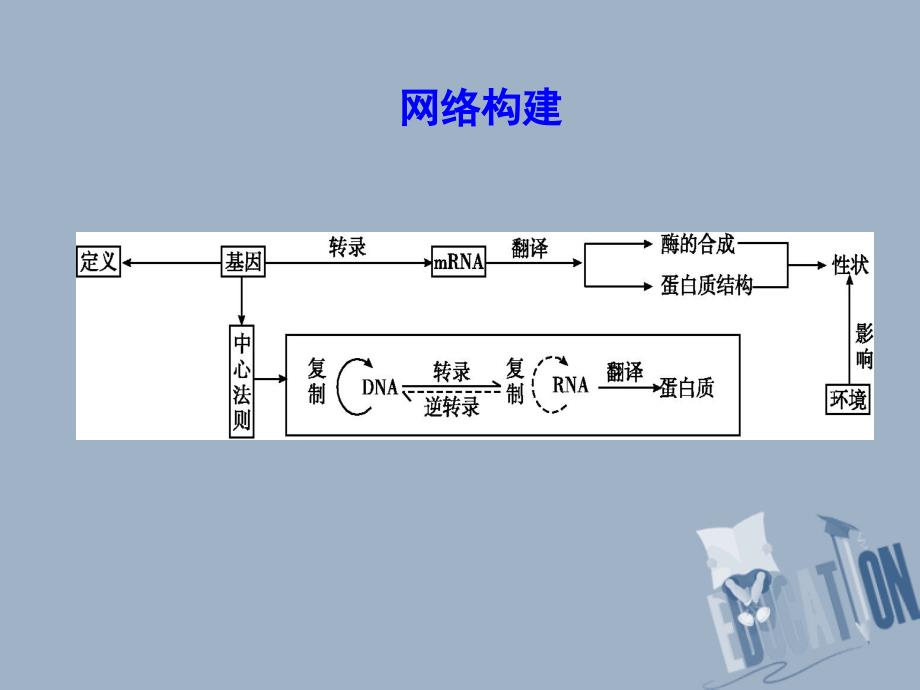 生物 第4章 基因的表达章末整合 新人教版必修2_第3页