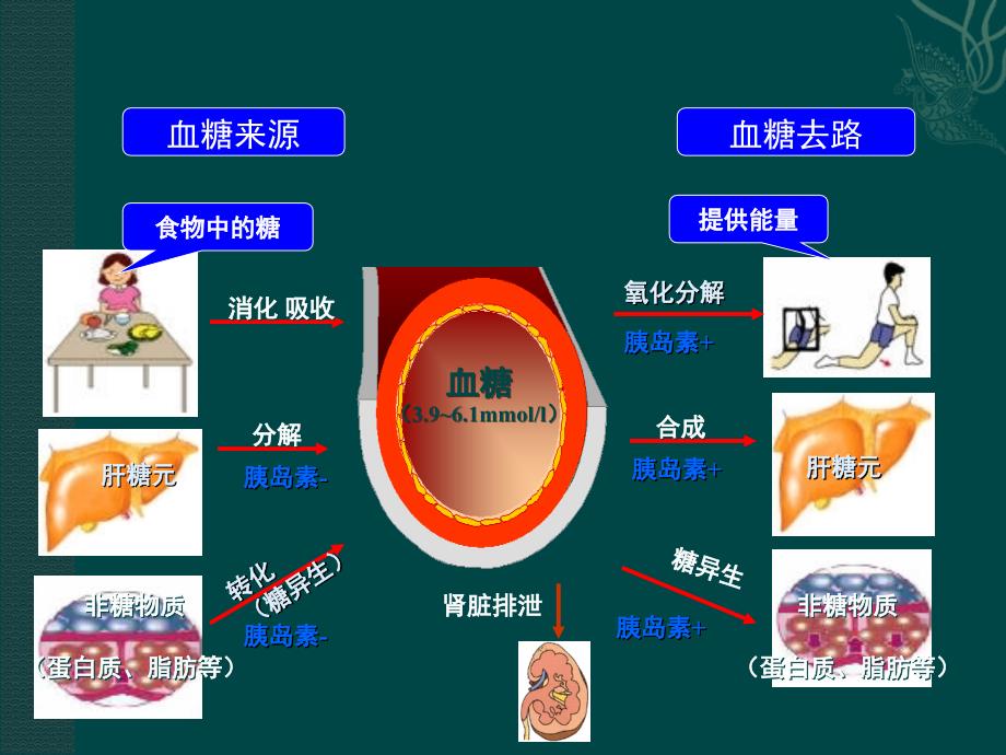 一糖尿病与胰岛素治疗_第3页