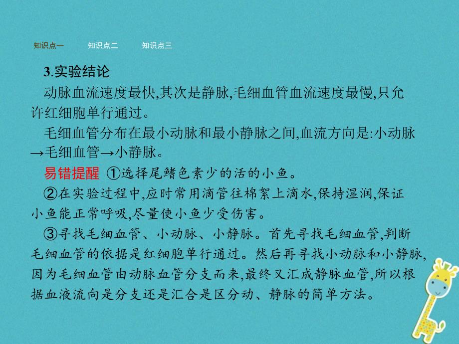 七年级生物下册 3.3.2物质运输的器官 （新版）济南版_第4页