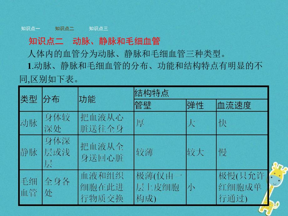 七年级生物下册 3.3.2物质运输的器官 （新版）济南版_第5页