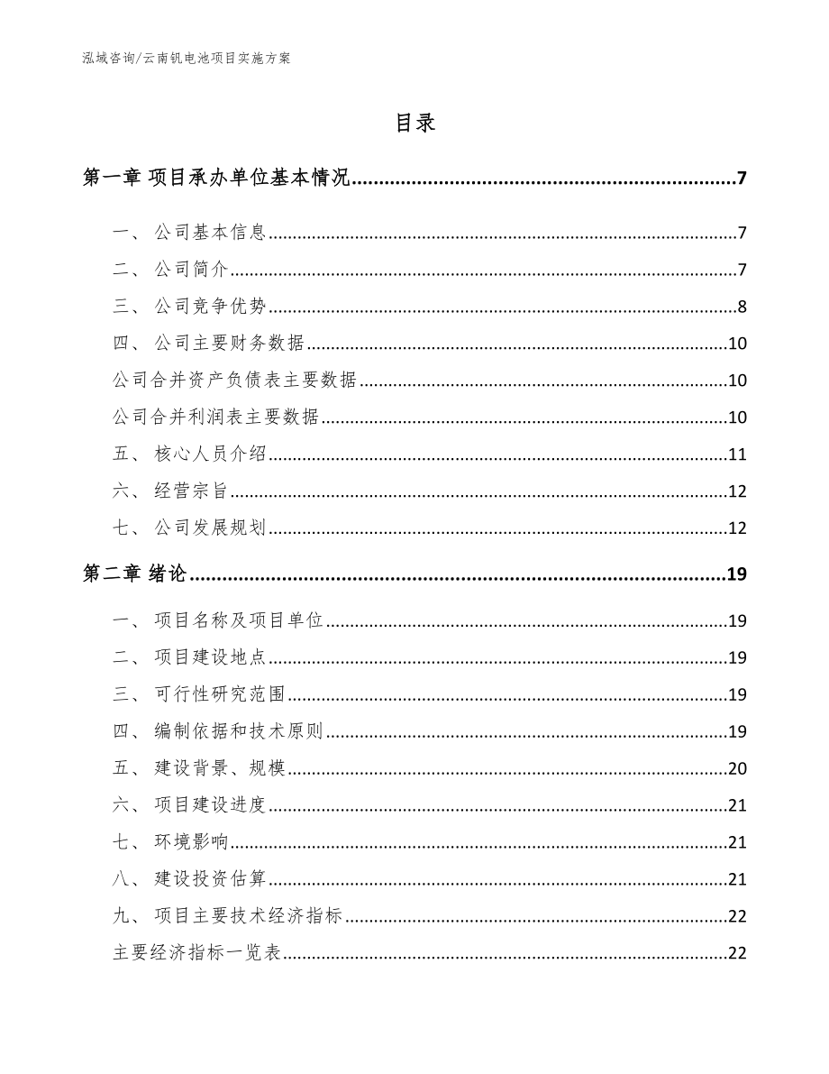 云南钒电池项目实施方案（模板）_第1页