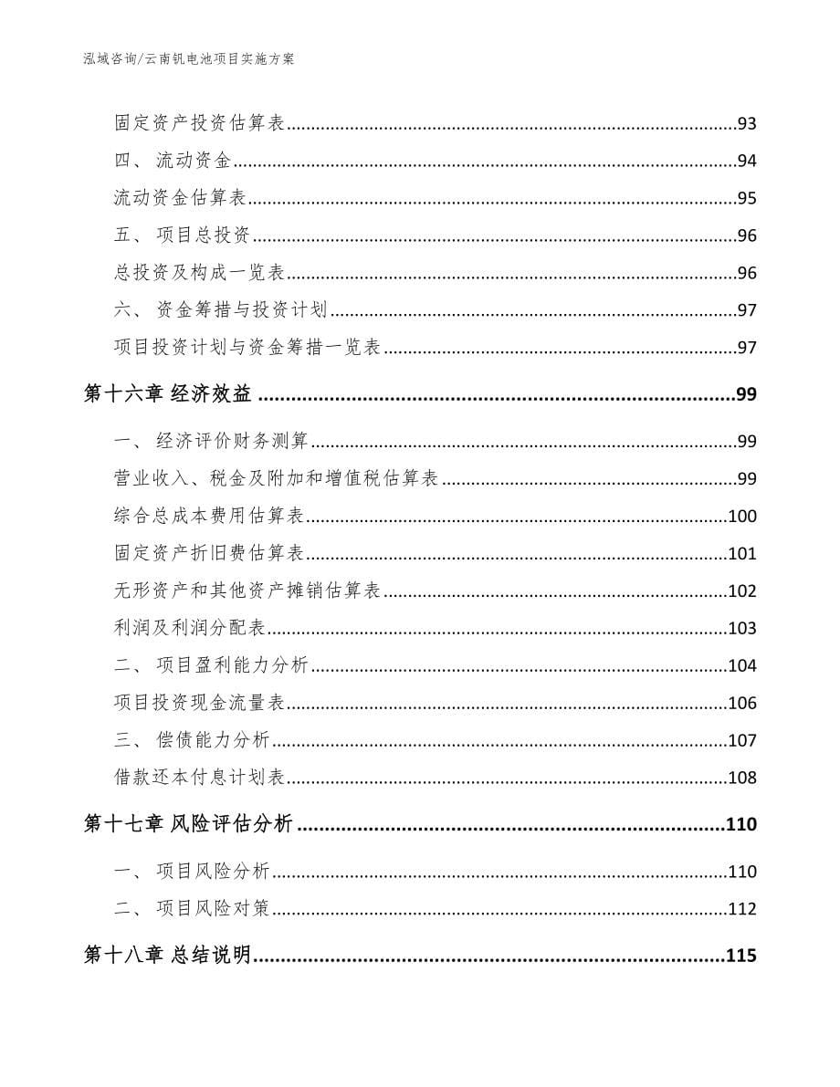 云南钒电池项目实施方案（模板）_第5页