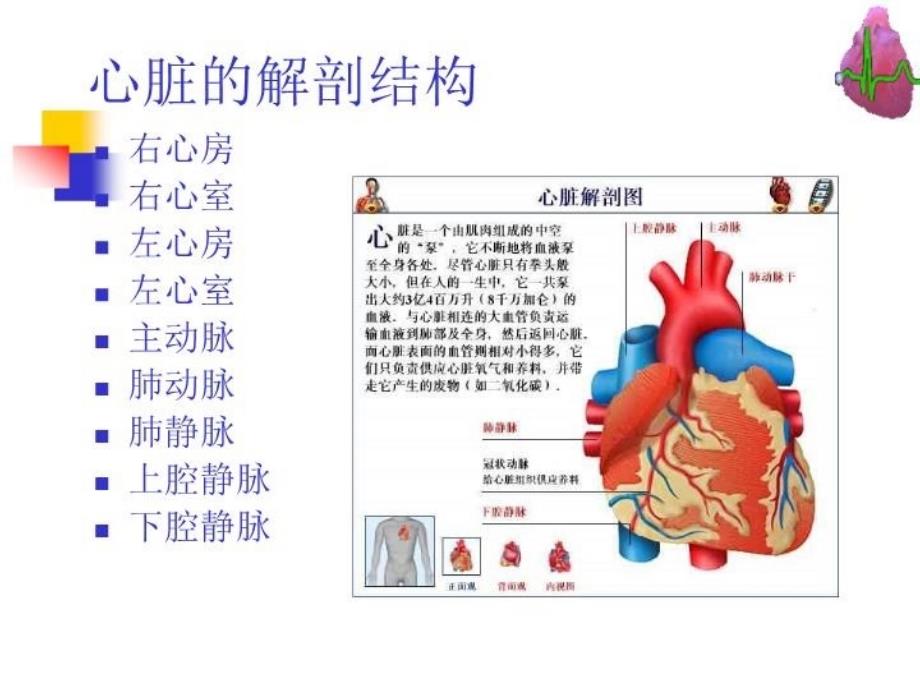 冠心病河北张成虎_第3页