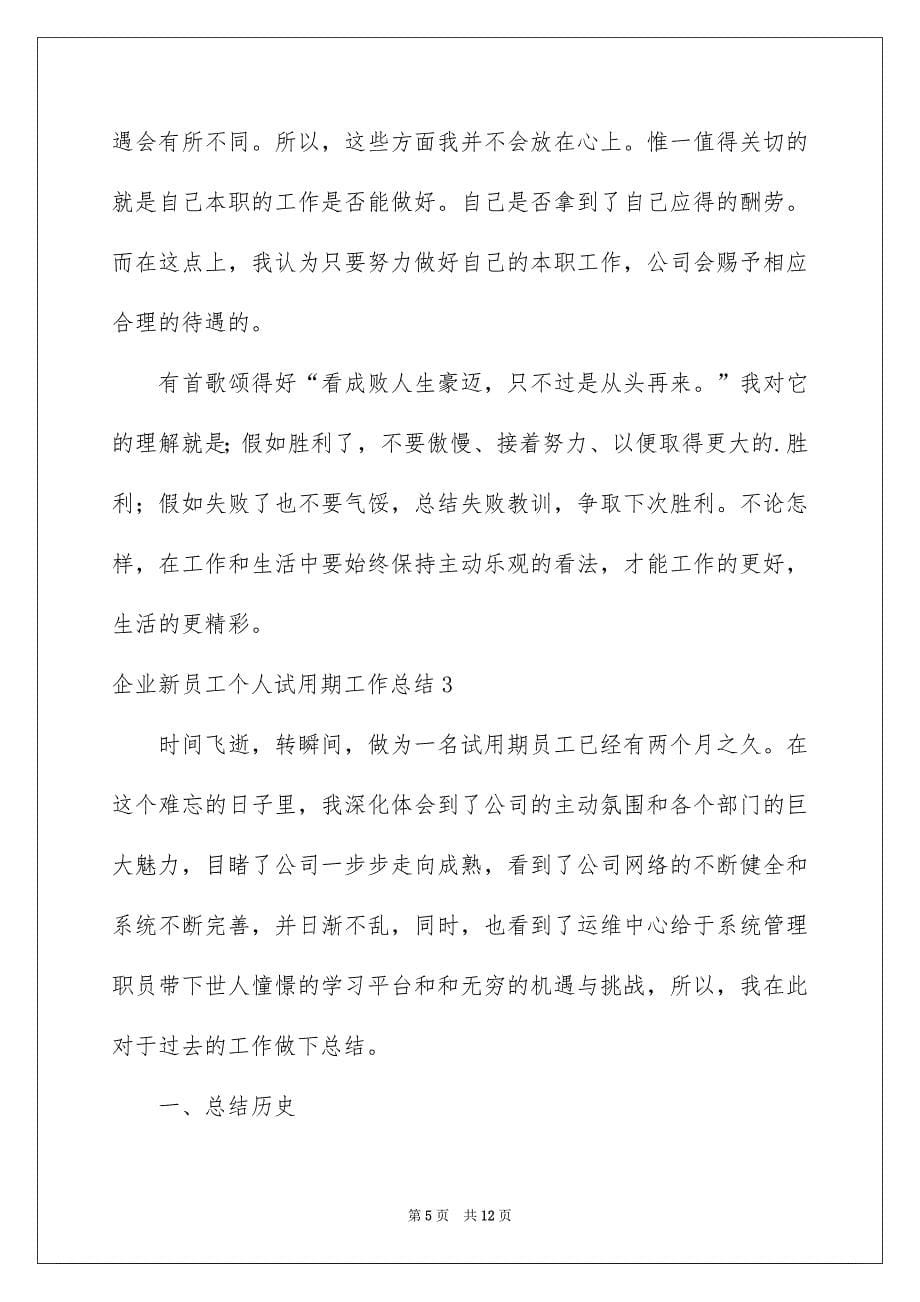 企业新员工个人试用期工作总结_第5页