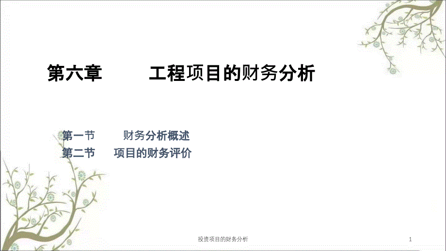 投资项目的财务分析课件_第1页