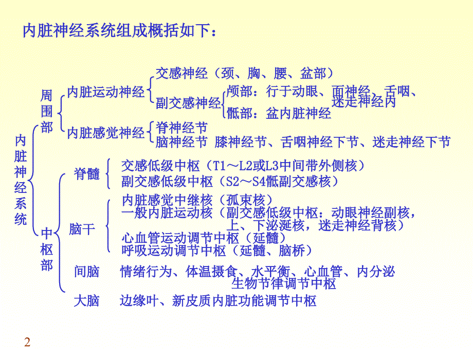 周围神经系统3PPT文档资料_第2页