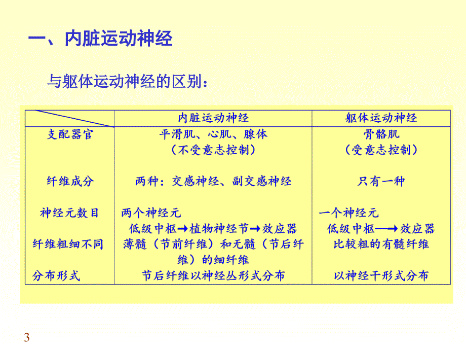 周围神经系统3PPT文档资料_第3页