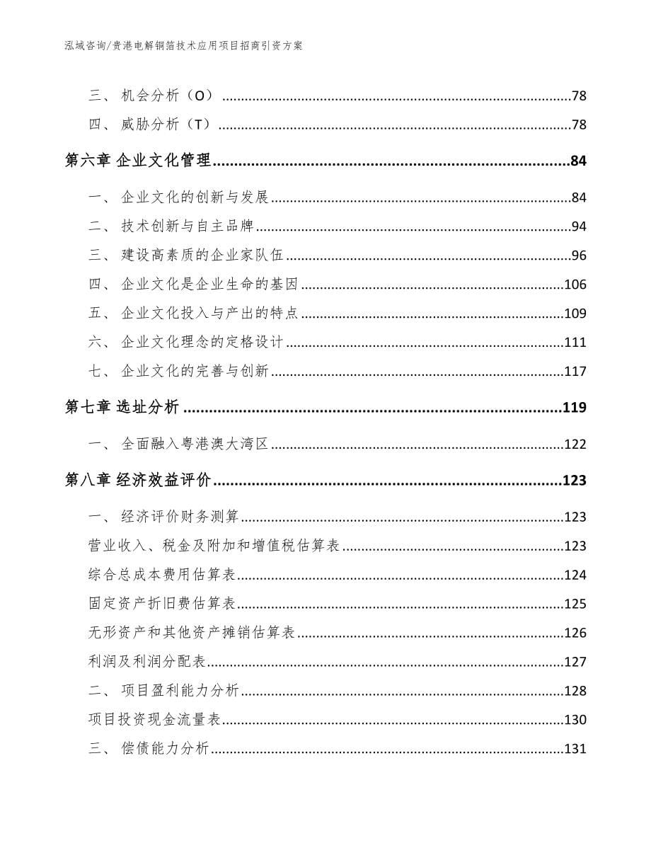 贵港电解铜箔技术应用项目招商引资方案参考模板_第5页