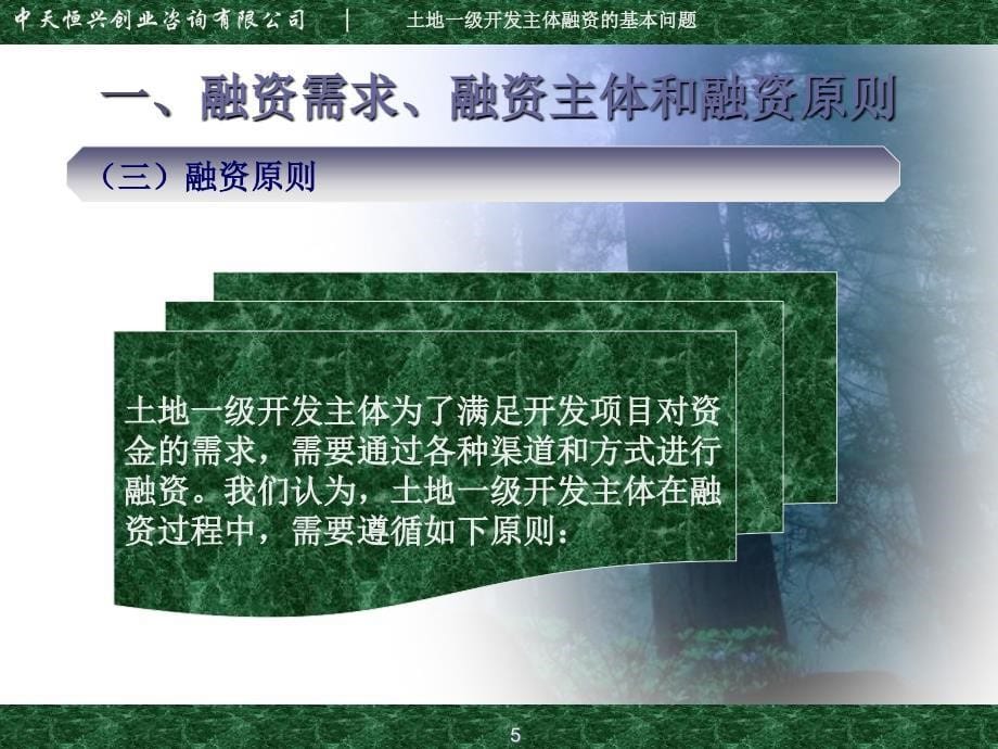 土地一级开发主体融资的基本问题概述课件_第5页