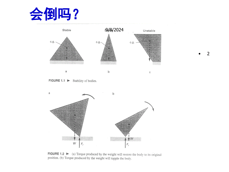 人体静力学与平衡精选_第2页