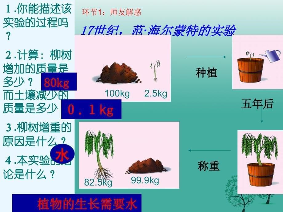 云南省普洱市思茅第三中学七年级生物上册第六章第一节植物光合作用的发现课件新版新人教版_第5页