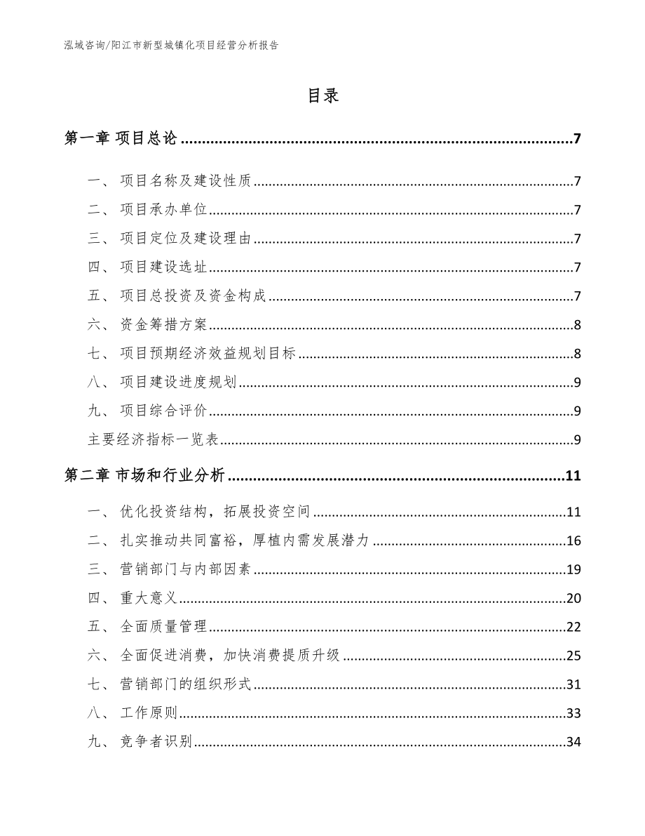 阳江市新型城镇化项目经营分析报告【模板】_第2页