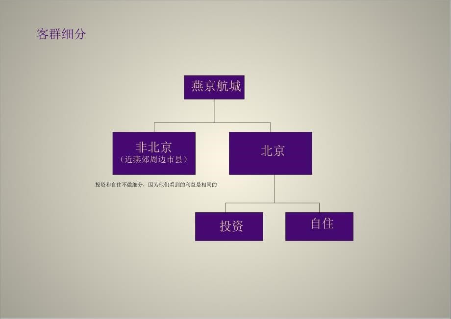 北京燕京航城策略提案策略和视觉上_第5页