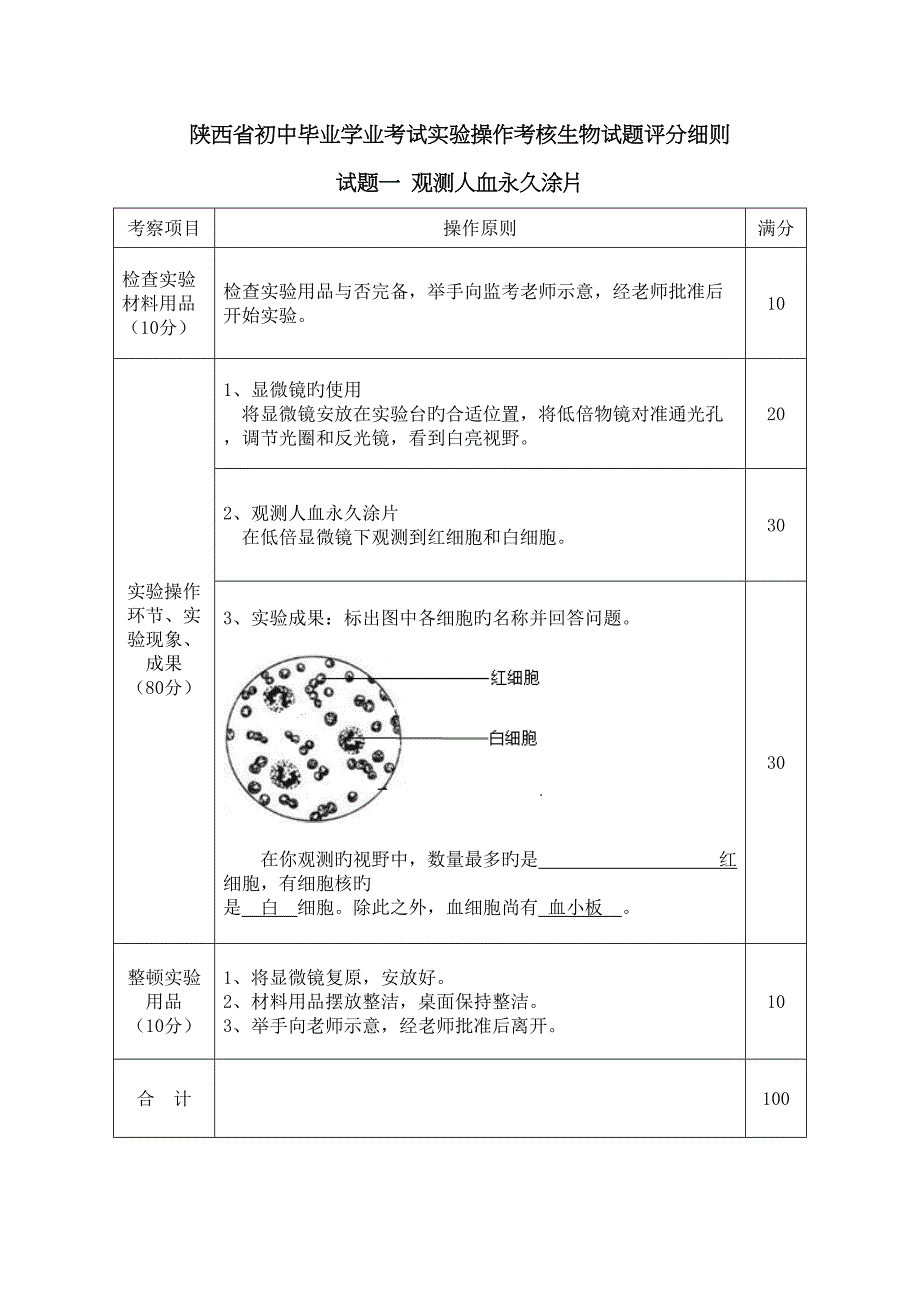 生物评分细则_第1页