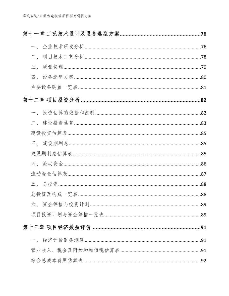 内蒙古电极箔项目招商引资方案_参考范文_第5页