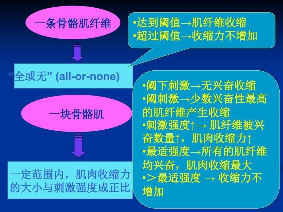 刺激强度、刺激频率与骨骼肌收缩的关系精选文档_第5页