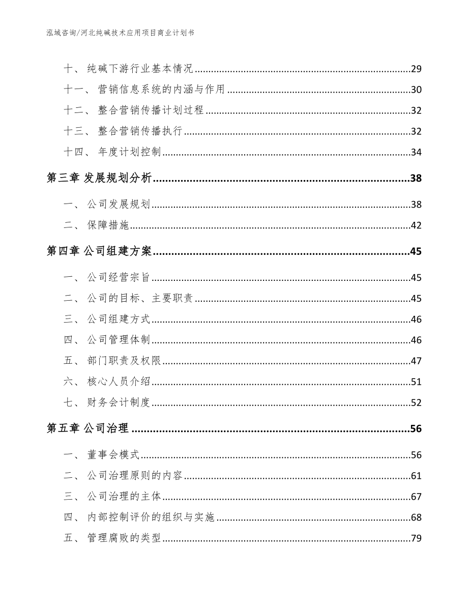 河北纯碱技术应用项目商业计划书_模板范文_第2页