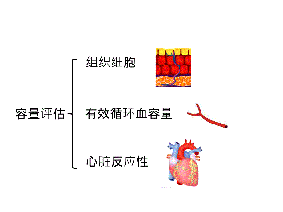 生物电阻抗矢量分析法评估患者容量状况_第2页