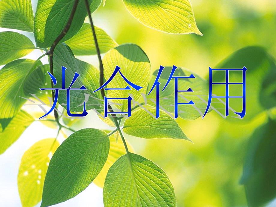 光合作用PPT课件.ppt_第1页