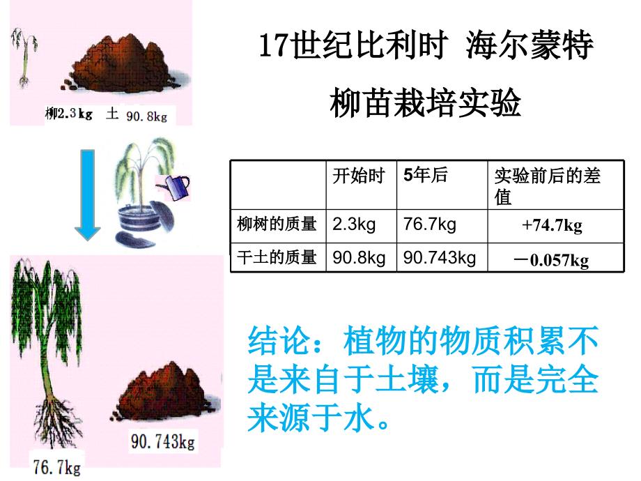 光合作用PPT课件.ppt_第3页