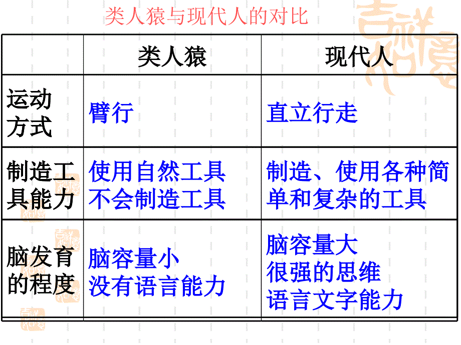 七年级下册生物总复习PPT课件_第3页