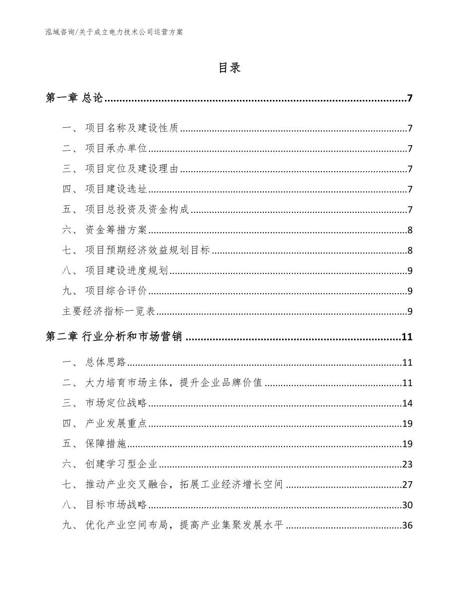 关于成立电力技术公司运营方案_第2页