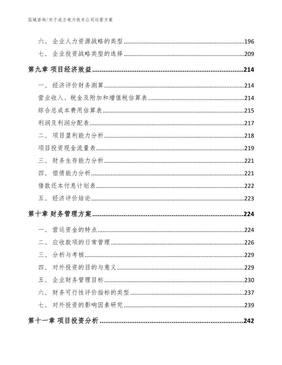 关于成立电力技术公司运营方案_第5页