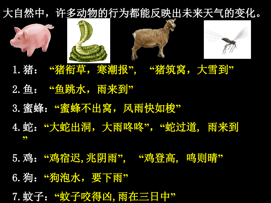 环境对生物行为的影响ppt课件_第4页