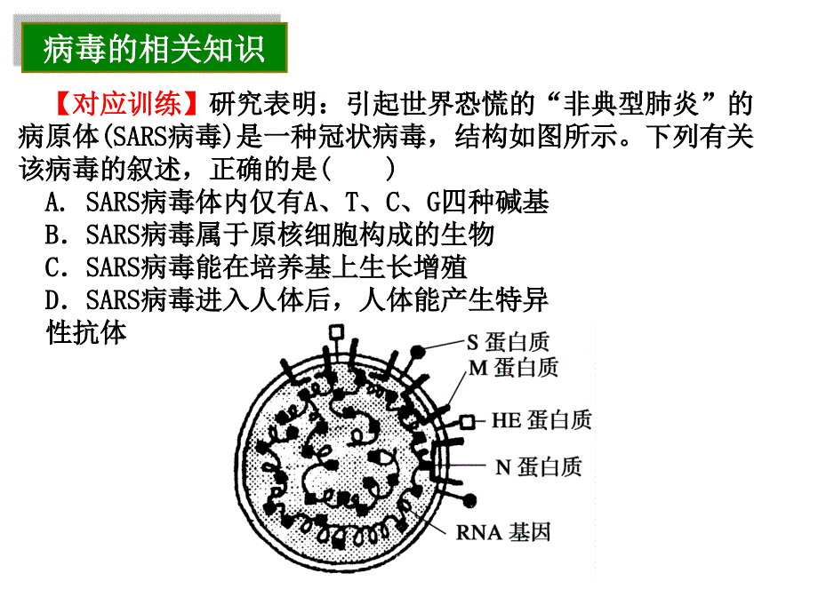 细胞的多样性和统一性_第4页