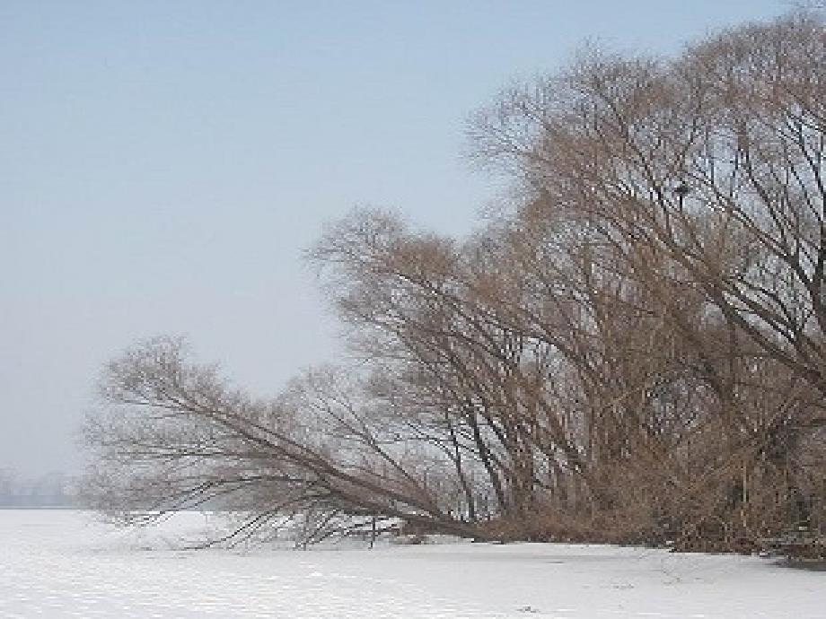 《湖心亭看雪》4__第3页