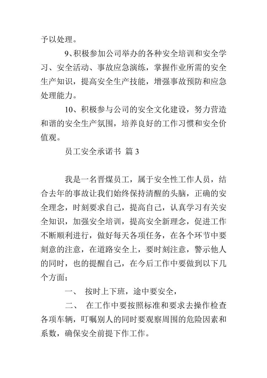 员工安全承诺书模板汇编七篇_第5页