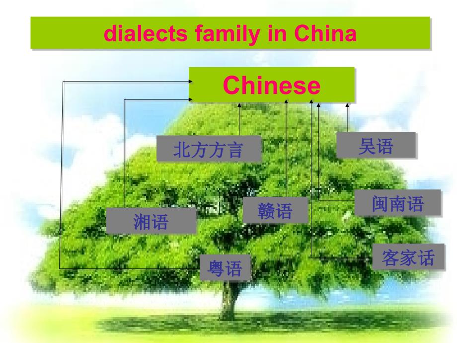 英语：必修1_Unit2_English_around_the_world--Reading2课件(人教新课标)_第3页