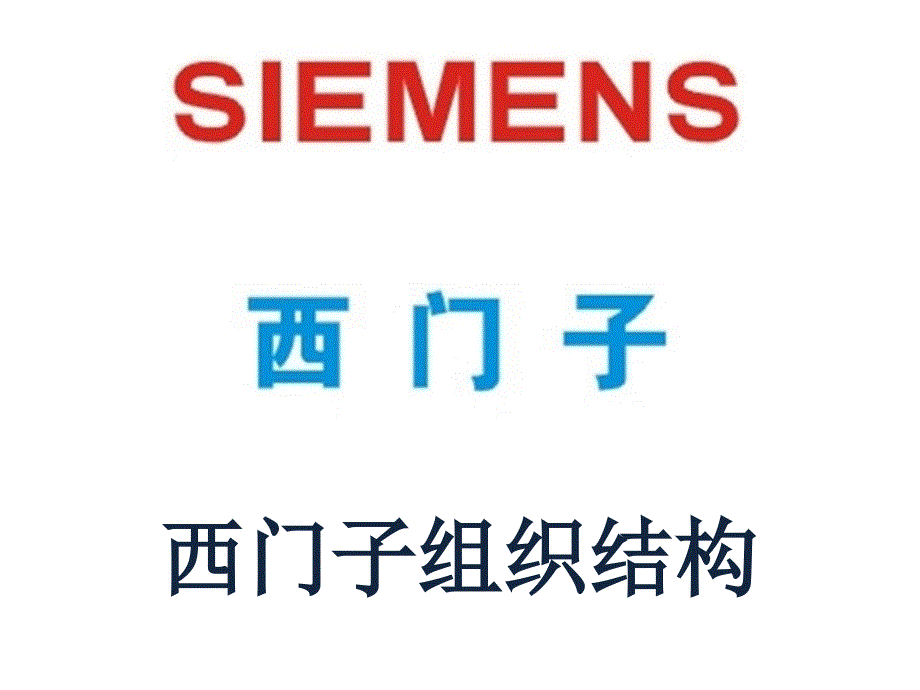 西门子组织机构分析_第1页