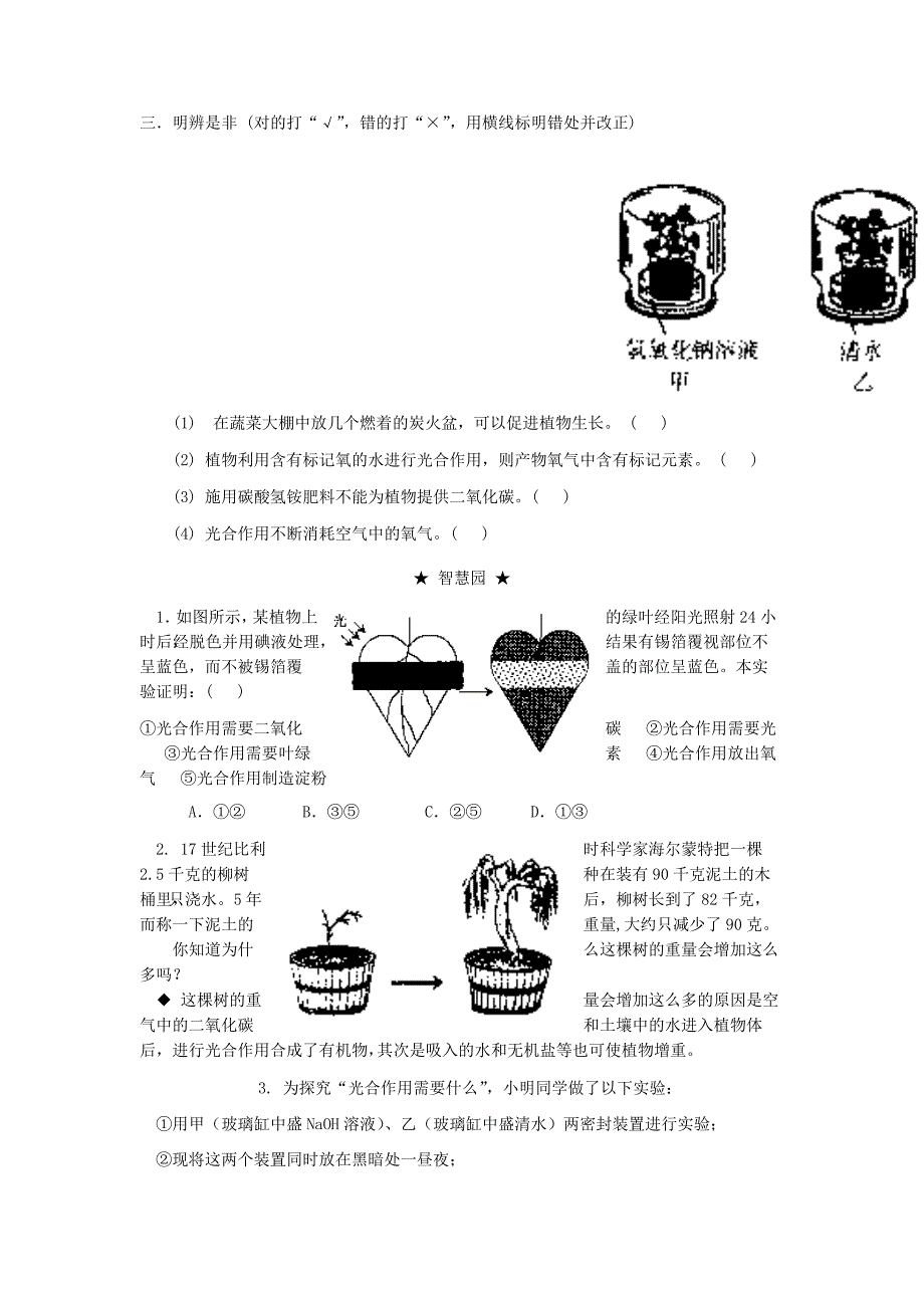 精选类八年级生物上册3.4.2光合作用的原料讲学稿无答案冀教版_第4页