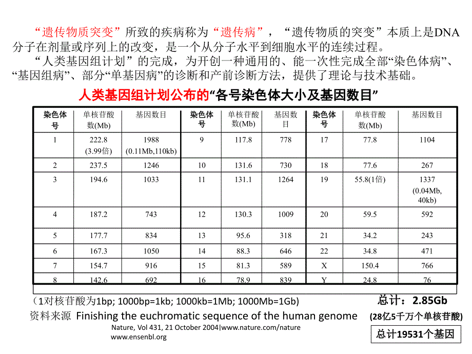 从基因染色体到临床特征_第4页