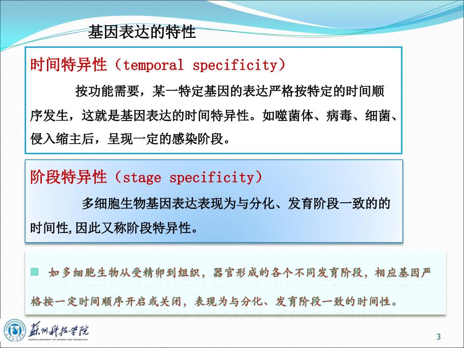 基因工程第六章外源基因的表达new_第3页