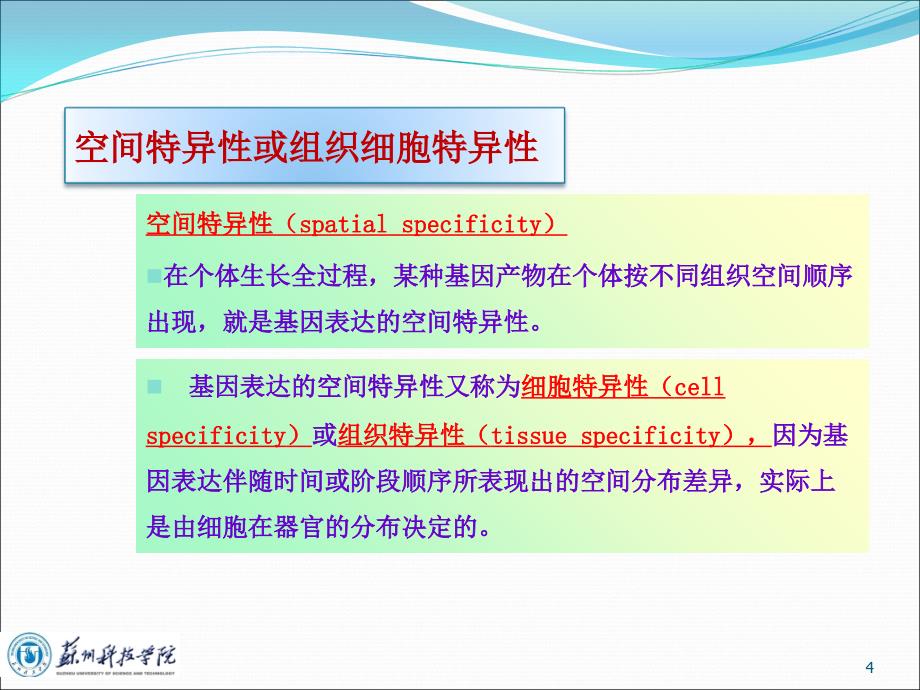 基因工程第六章外源基因的表达new_第4页