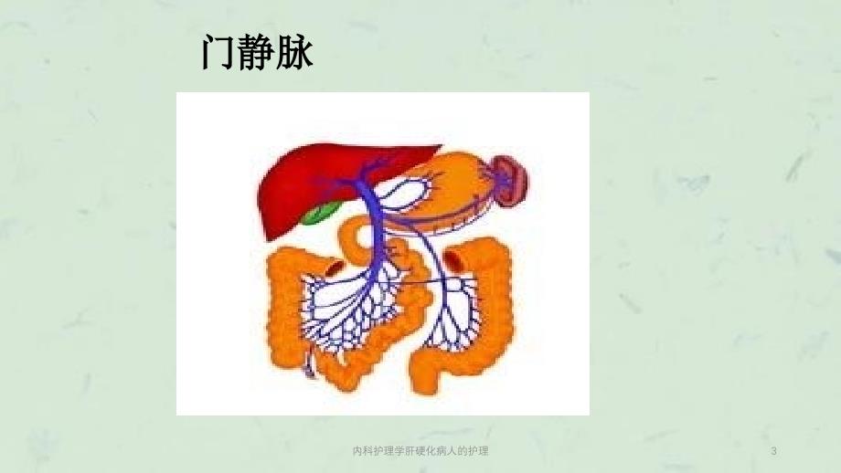 内科护理学肝硬化病人的护理课件_第3页