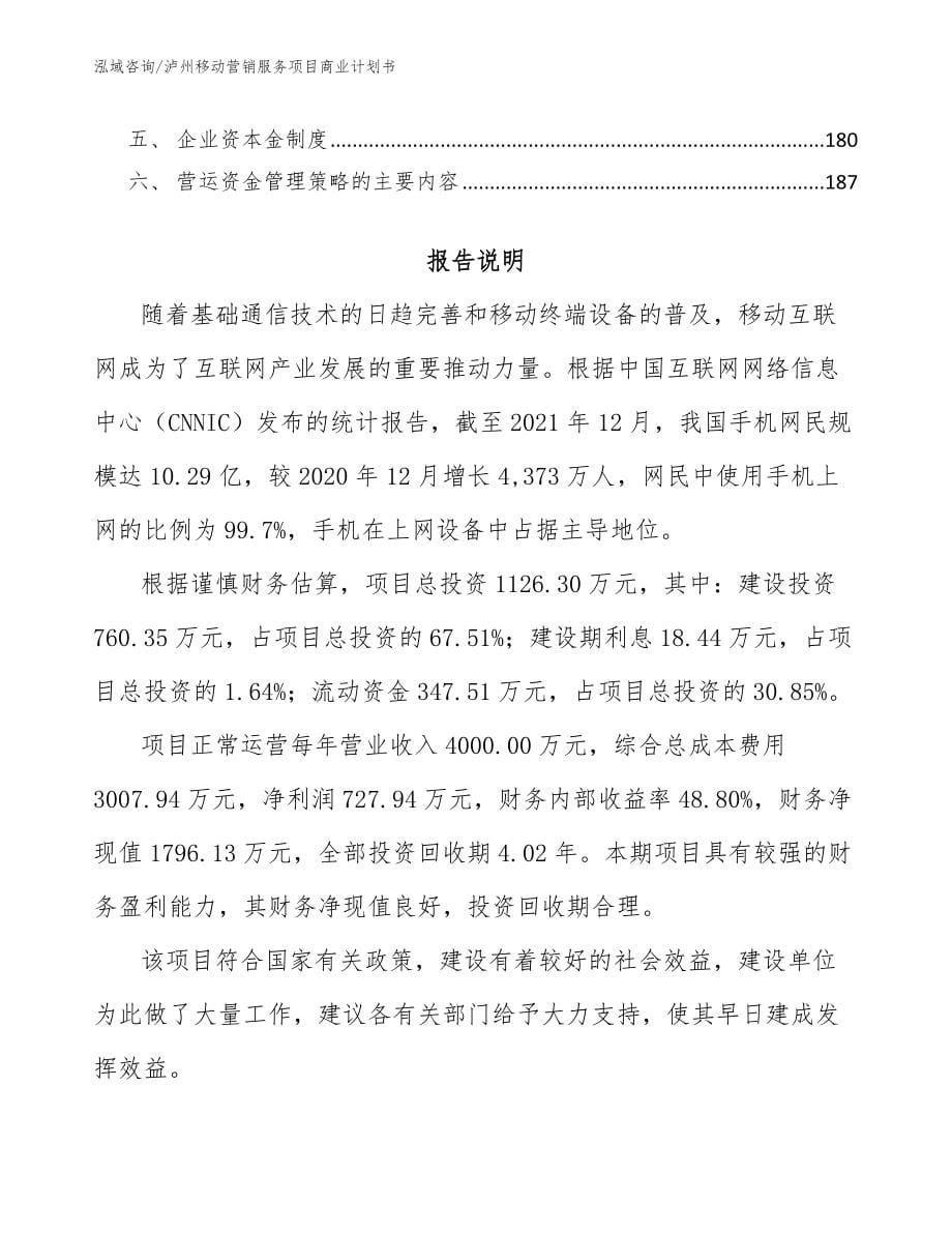 泸州移动营销服务项目商业计划书模板范本_第5页