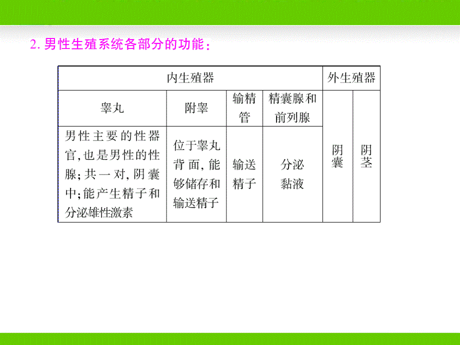 生物圈中生命的延续和发展_第4页