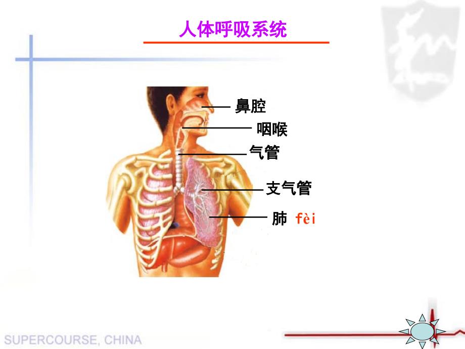 《运动起来会怎样(一)》_第4页