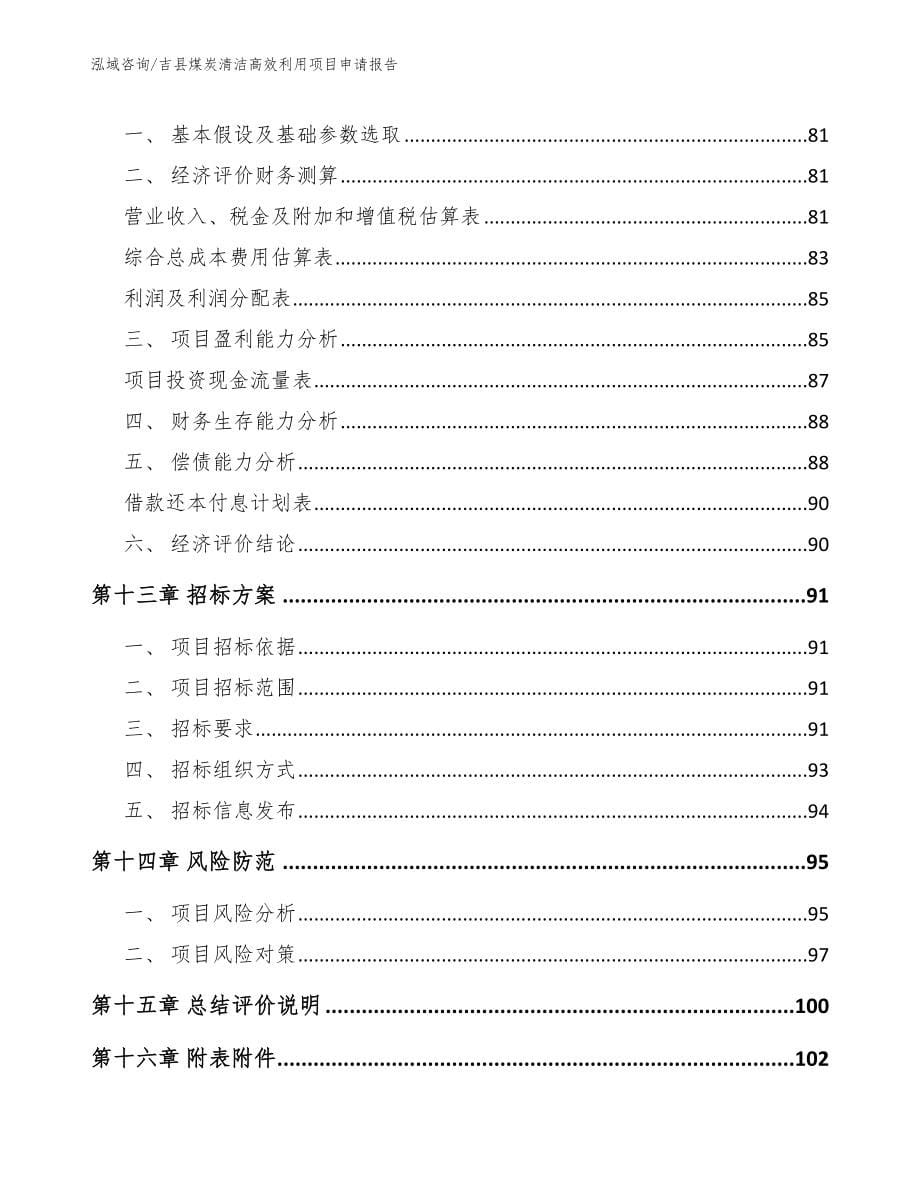 吉县煤炭清洁高效利用项目申请报告【模板范本】_第5页