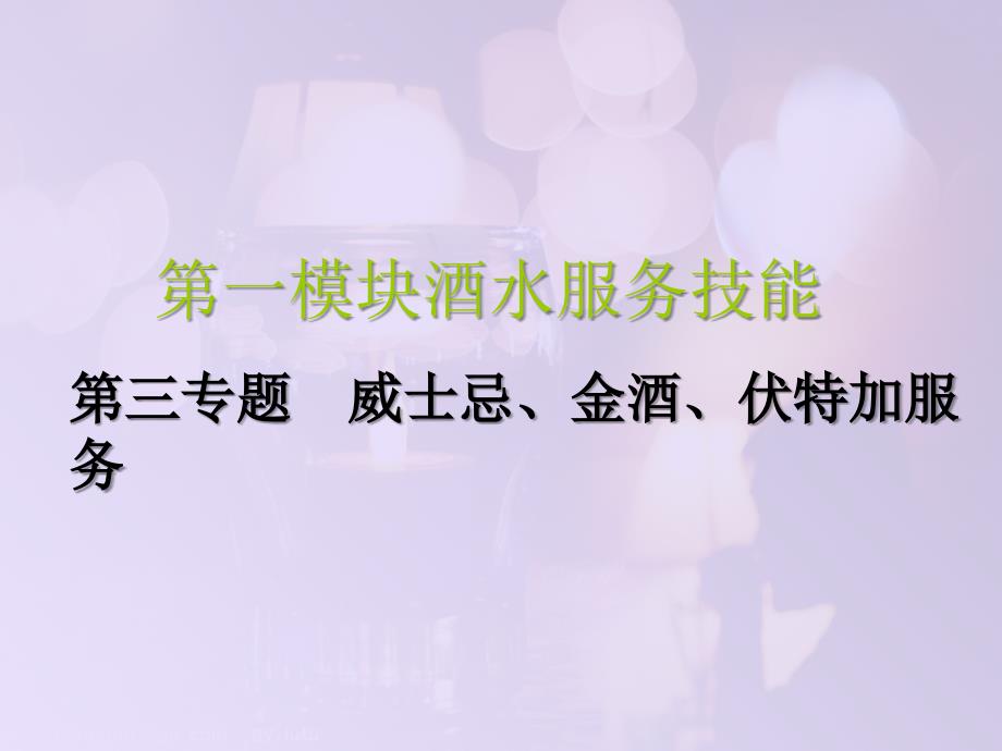第三专题威士忌等服务100721_第1页