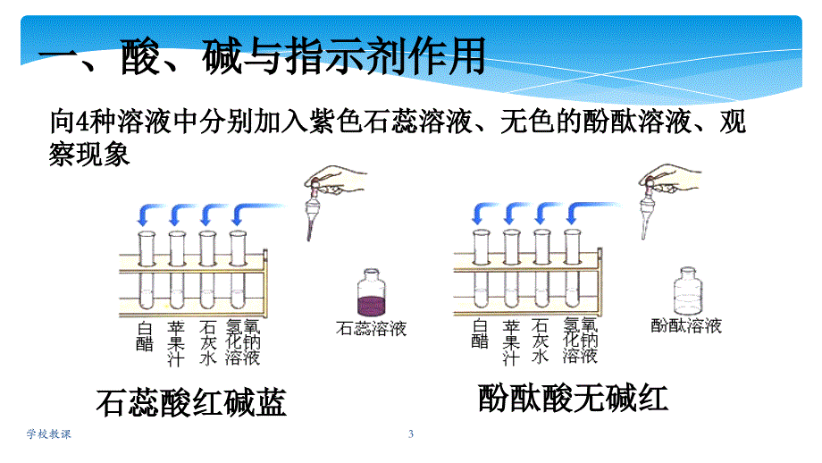 九年级下册化学常见的酸和碱讲课适用_第3页