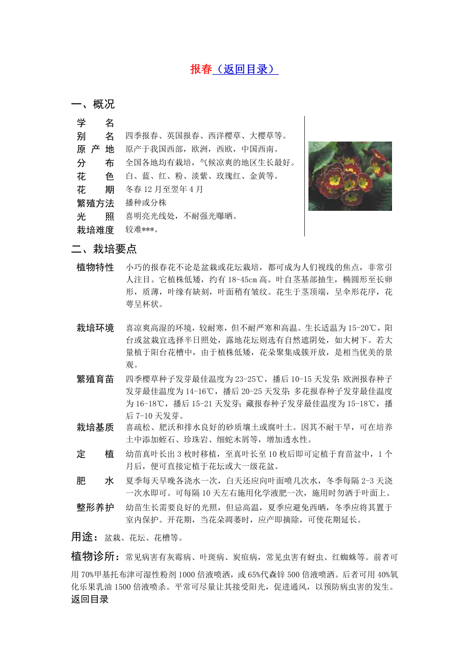 常见草花品种.doc_第4页