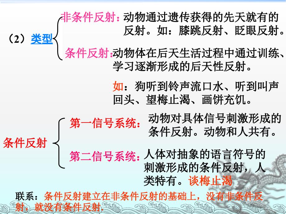 通过神经系统的调节 (2)_第4页