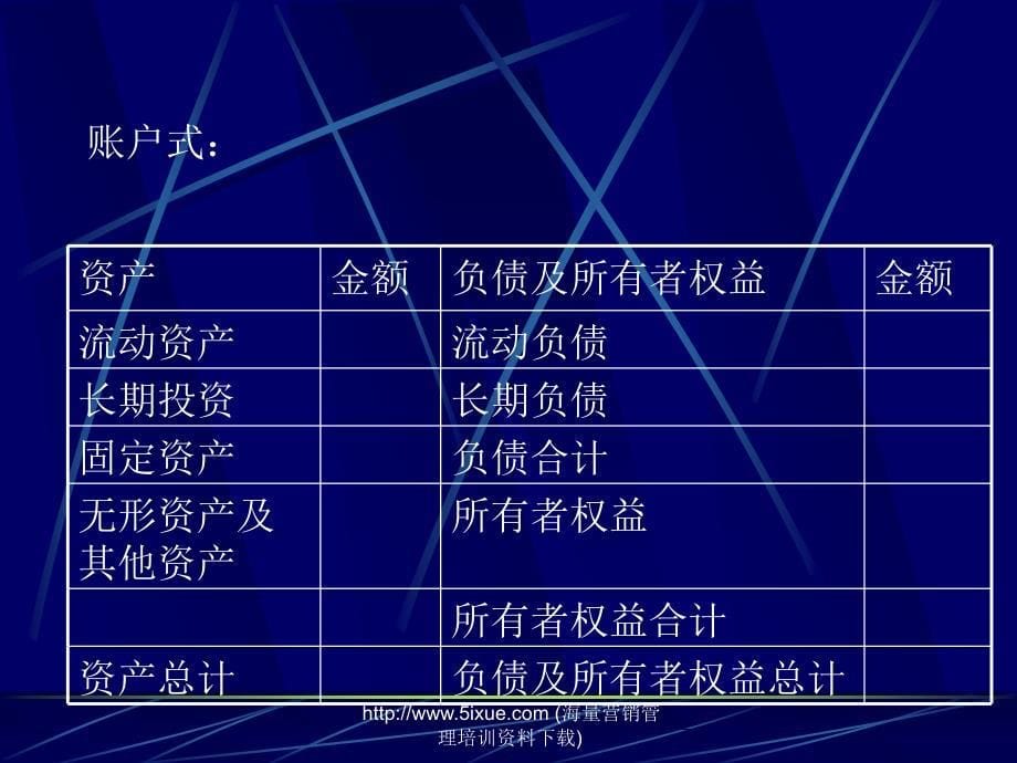 资产负债表的阅读与分析_第5页