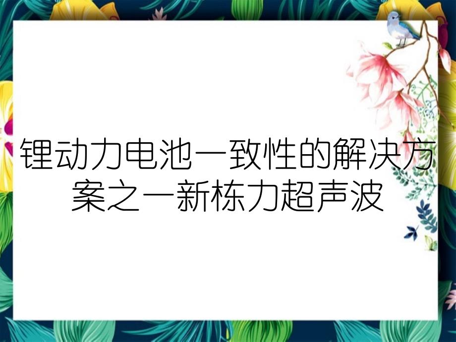 锂动力电池一致性的解决方案之一新栋力超声波_第1页