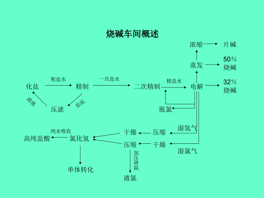 氯碱行业烧碱工艺演示_第2页